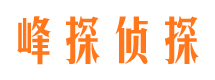 天元寻人公司